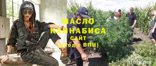 амф Гусиноозёрск