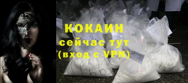 амф Гусиноозёрск