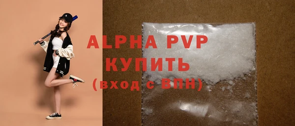 амф Гусиноозёрск