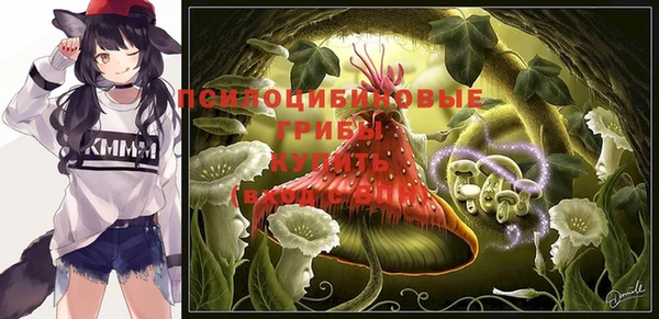 амф Гусиноозёрск