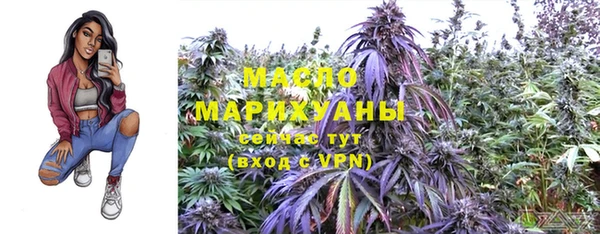 амф Гусиноозёрск